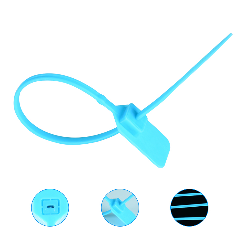HYPS-D01Tamper Proof Plastic Seal for Cash Bags